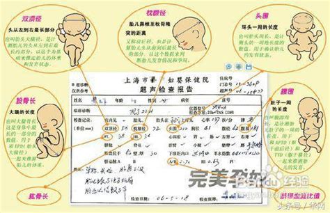 懷孕生男症狀|懷孕徵兆判斷胎兒性別